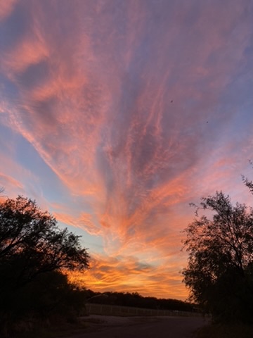 lumise-media-1000292392