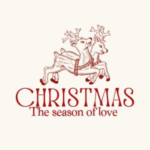 IMG-20251103-WA0030-690ad25fd9e5f-thumb